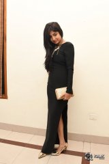 Poonam Kaur At Thikka Movie Audio Launch